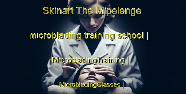 Skinart The Mipelenge microblading training school | MicrobladingTraining | MicrobladingClasses | SkinartTraining-the Democratic Republic of the Congo